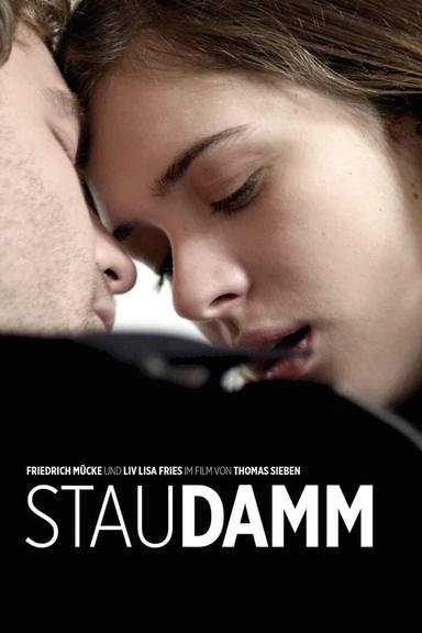 Staudamm poster