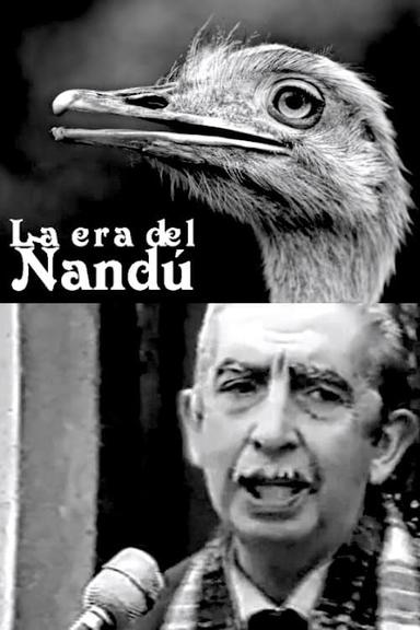 La era del ñandú poster