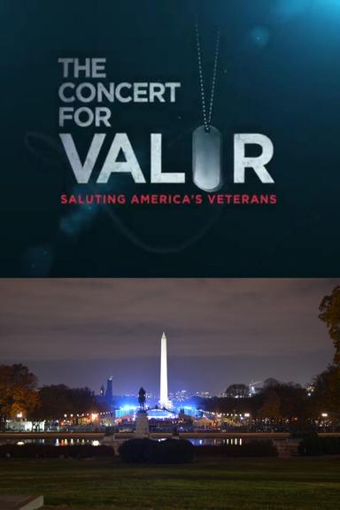 The Concert for Valor poster