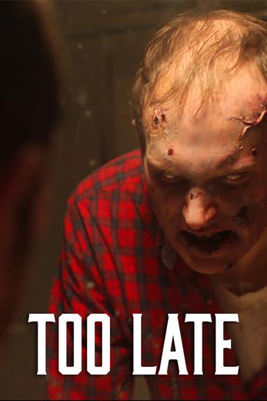 Too Late poster