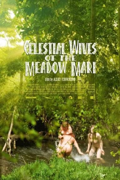 Celestial Wives of the Meadow Mari poster