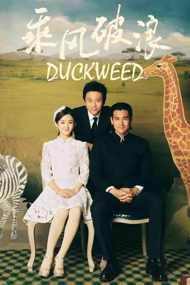 Duckweed poster