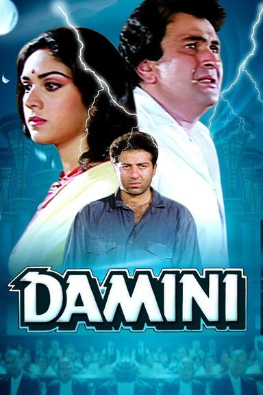 Damini poster