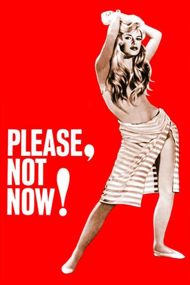 Please, Not Now! poster