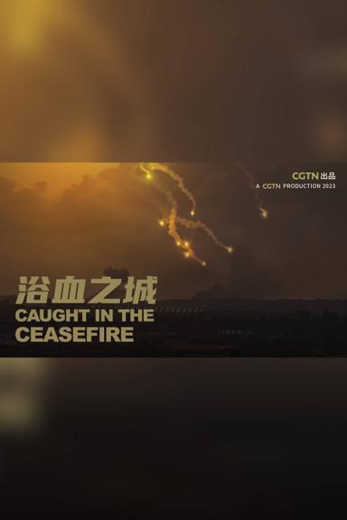 Caught in the ceasefire poster