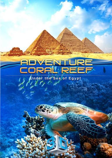 Adventure Coral Reef 3D - Under the Sea of Egypt poster