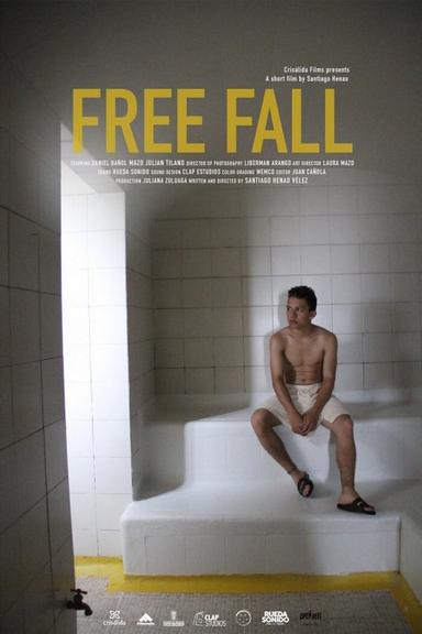 Free Fall poster