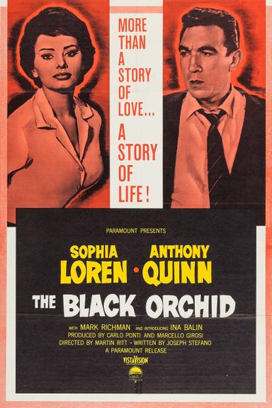 The Black Orchid poster