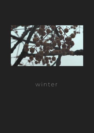 Winter poster