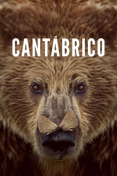 Cantábrico poster