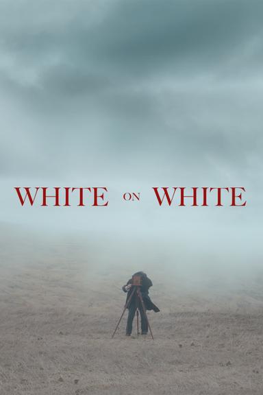 White on White poster