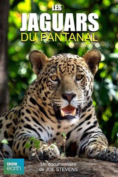 Jaguars of the Pantanal poster