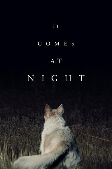 It Comes at Night poster