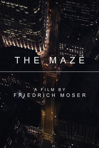 The Maze poster