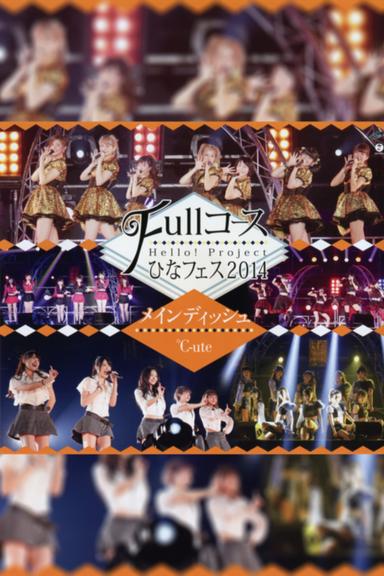 Hello! Project 2014 Hina Fes ~Full Course~ Main Dish wa ℃-ute Desu. poster