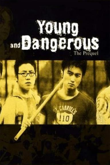 Young and Dangerous: The Prequel poster