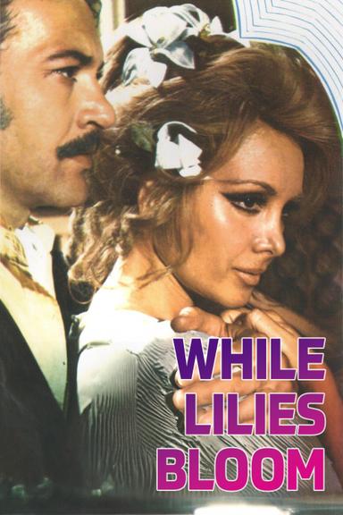 While Lilies Bloom poster