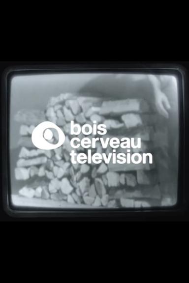 BOIS CERVEAU TV (1) poster