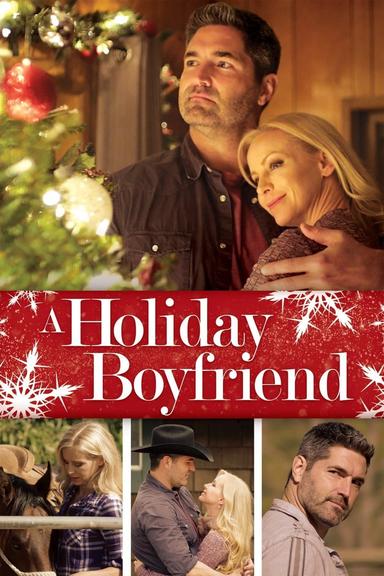 A Holiday Boyfriend poster