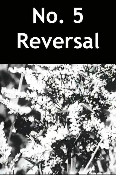 No. 5 Reversal poster