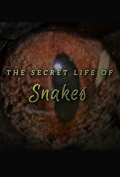 The Secret Life of Snakes poster