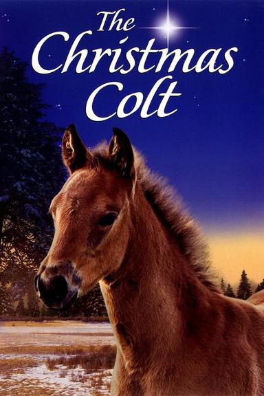 The Christmas Colt poster