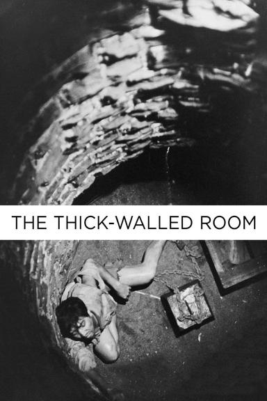 The Thick-Walled Room poster