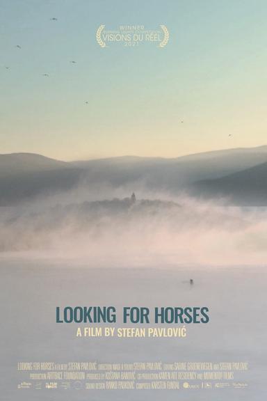 Looking for Horses poster