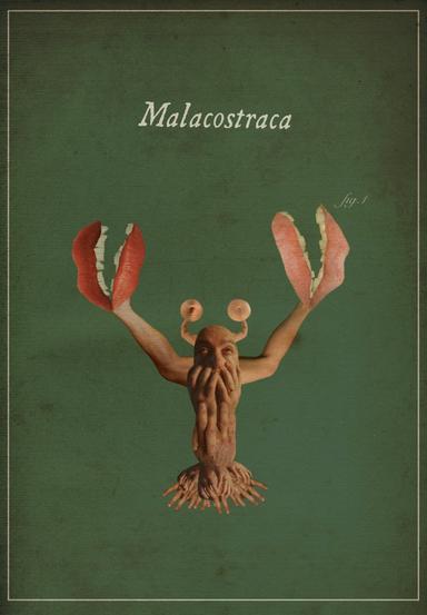 Malacostraca poster