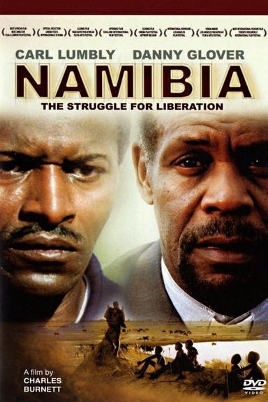 Namibia: The Struggle for Liberation poster