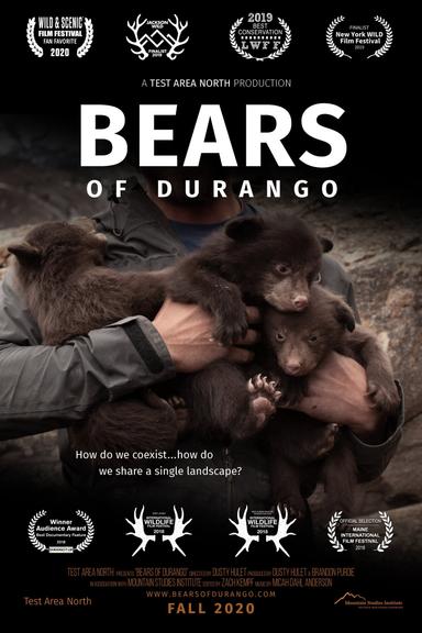 Bears of Durango poster