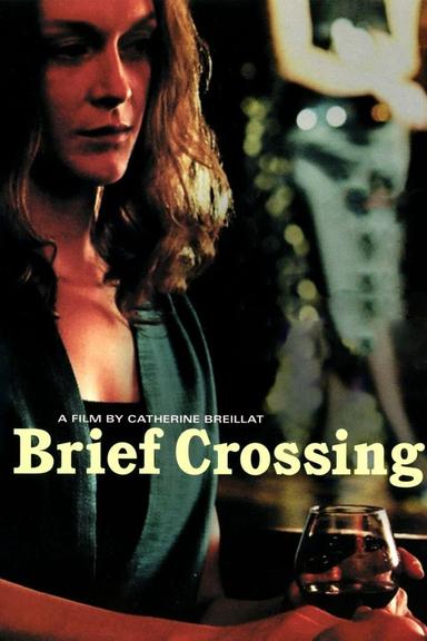 Brief Crossing poster