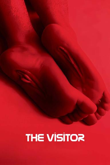 The Visitor poster