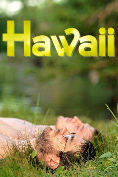 Hawaii poster