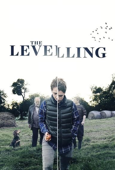 The Levelling poster