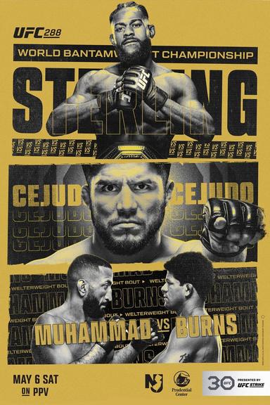 UFC 288: Sterling vs. Cejudo poster