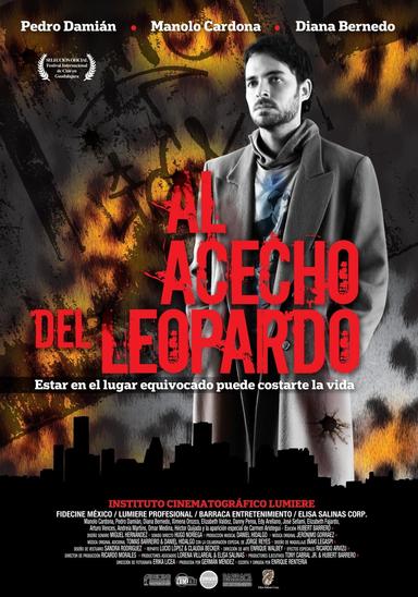 Al acecho del leopardo poster