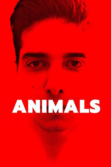 Animals poster