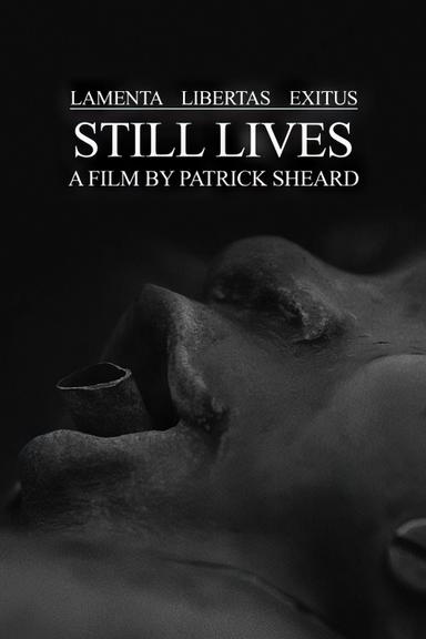 Still Lives poster