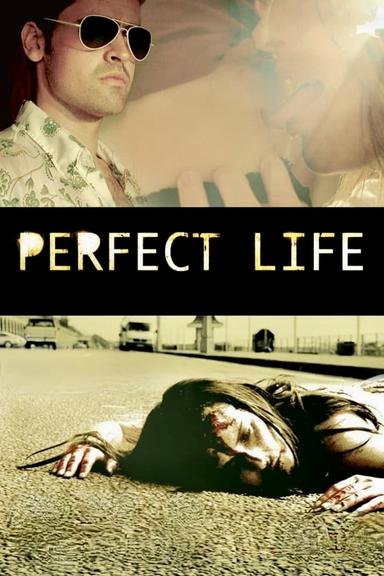 Perfect Life poster