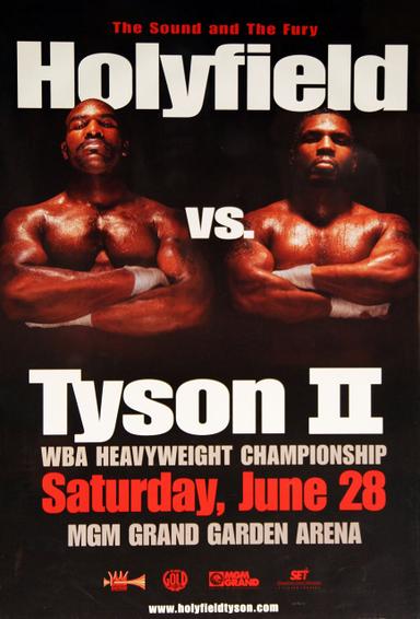 Mike Tyson vs. Evander Holyfield II poster