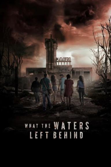 What the Waters Left Behind poster