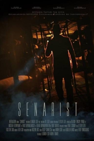 Senarist poster