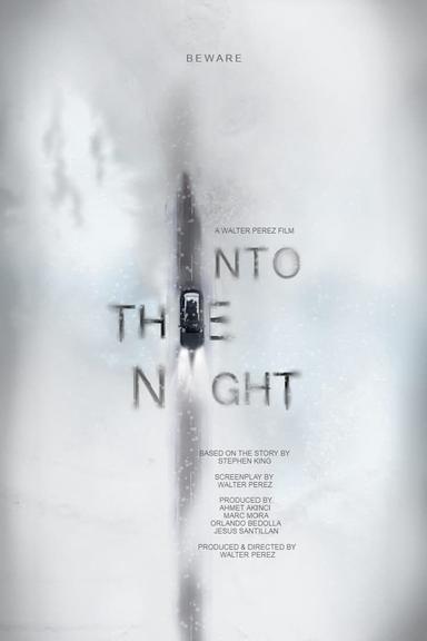 Into the Night poster