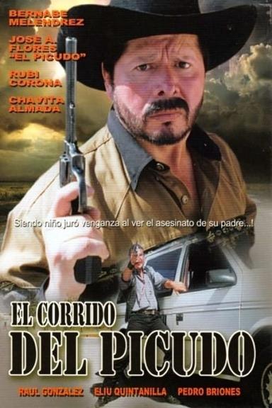 La Venganza del Picudo poster