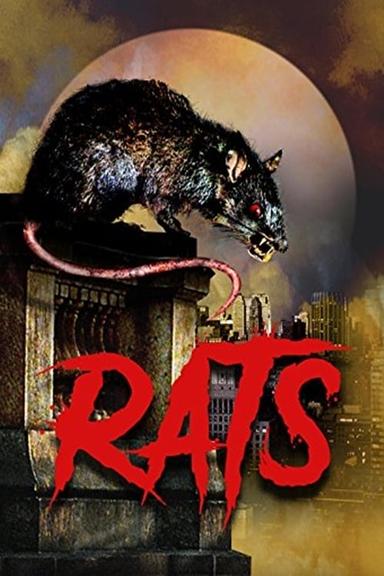 Rats poster