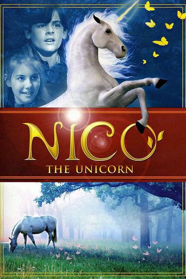 Nico the Unicorn poster