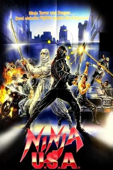 Ninja USA poster