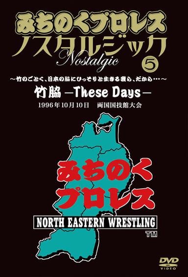 Michinoku Pro 3rd Anniversary: These Days poster