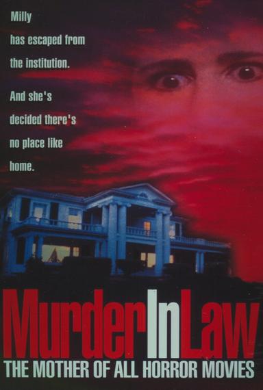 Murder in Law poster